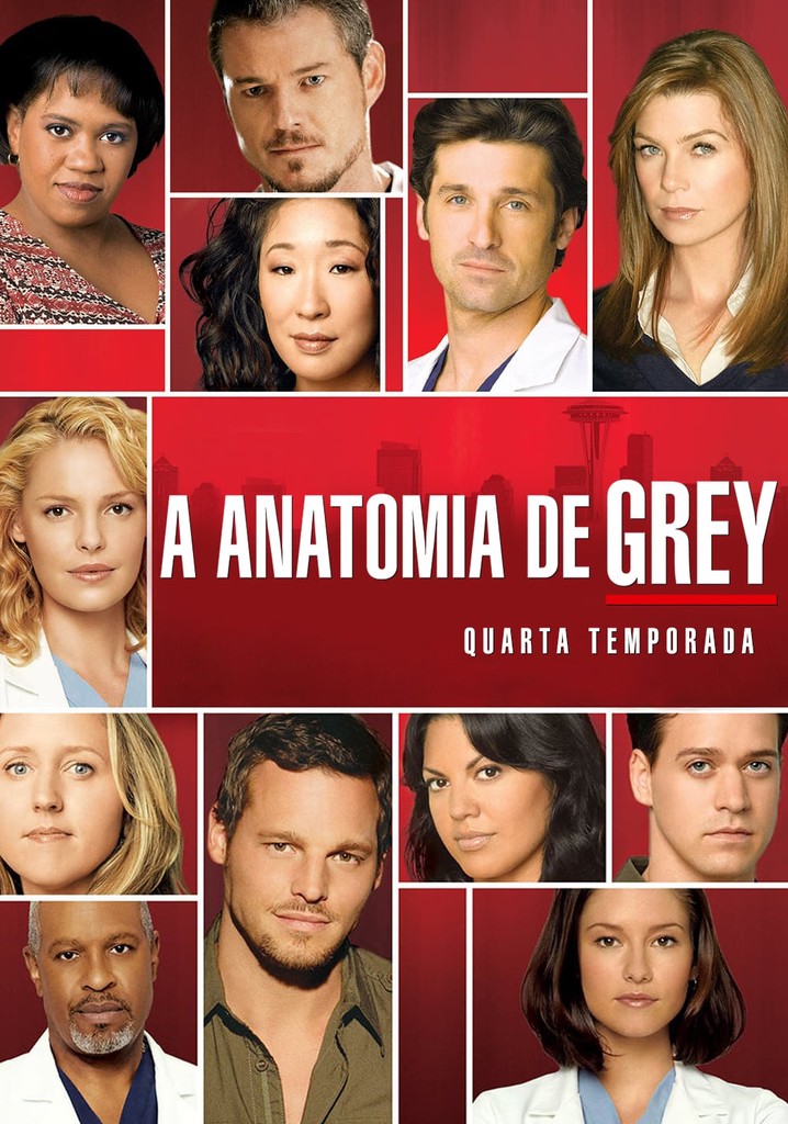 Anatomia De Grey Temporada Assista Epis Dios Online Streaming